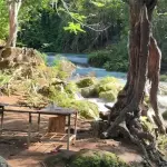 Cherry Hill River