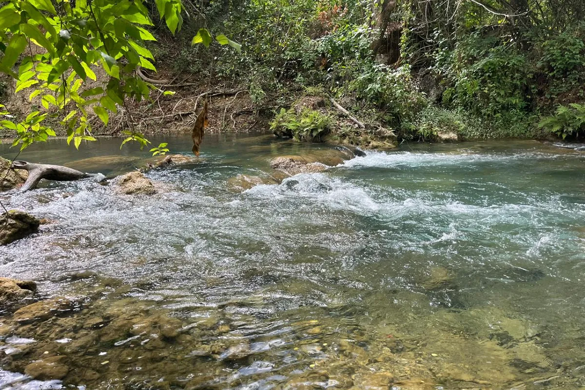 Cherry Hill River