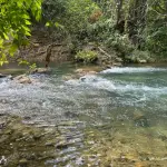 Cherry Hill River