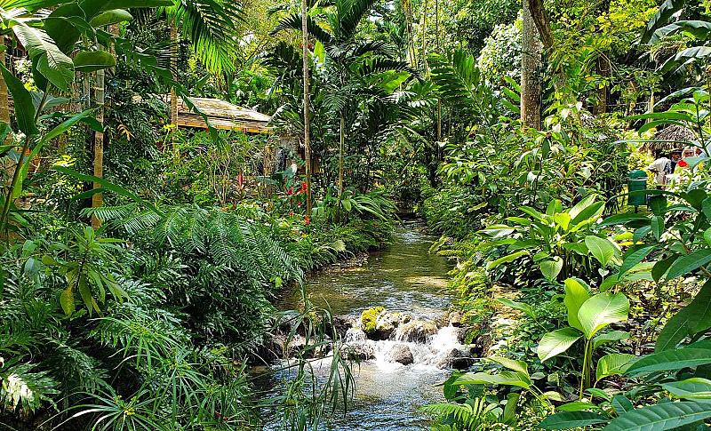 Konoko Falls and Park