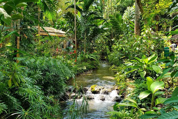 Konoko Falls and Park