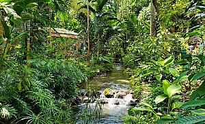 Konoko Falls and Park