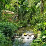 Konoko Falls and Park