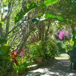 Barney’s Hummingbird Garden
