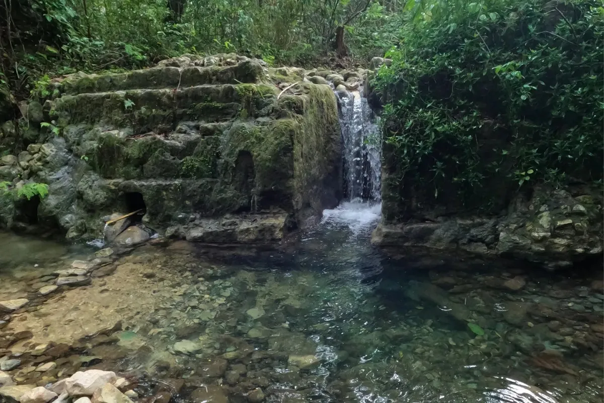 Allen Spring