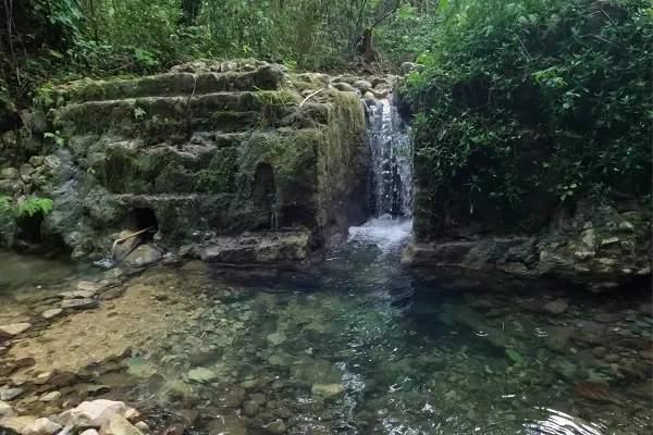 Allen Spring