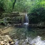 Allen Spring
