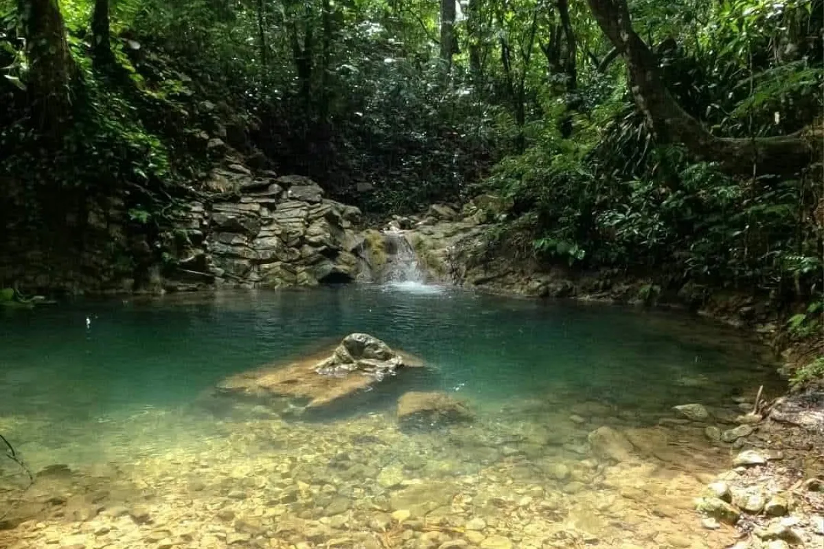 Allen Spring