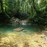 Allen Spring