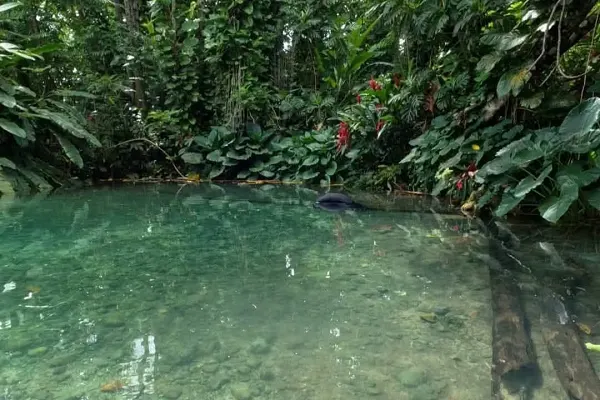Airy Castle Pool (Airy Castle Hole)