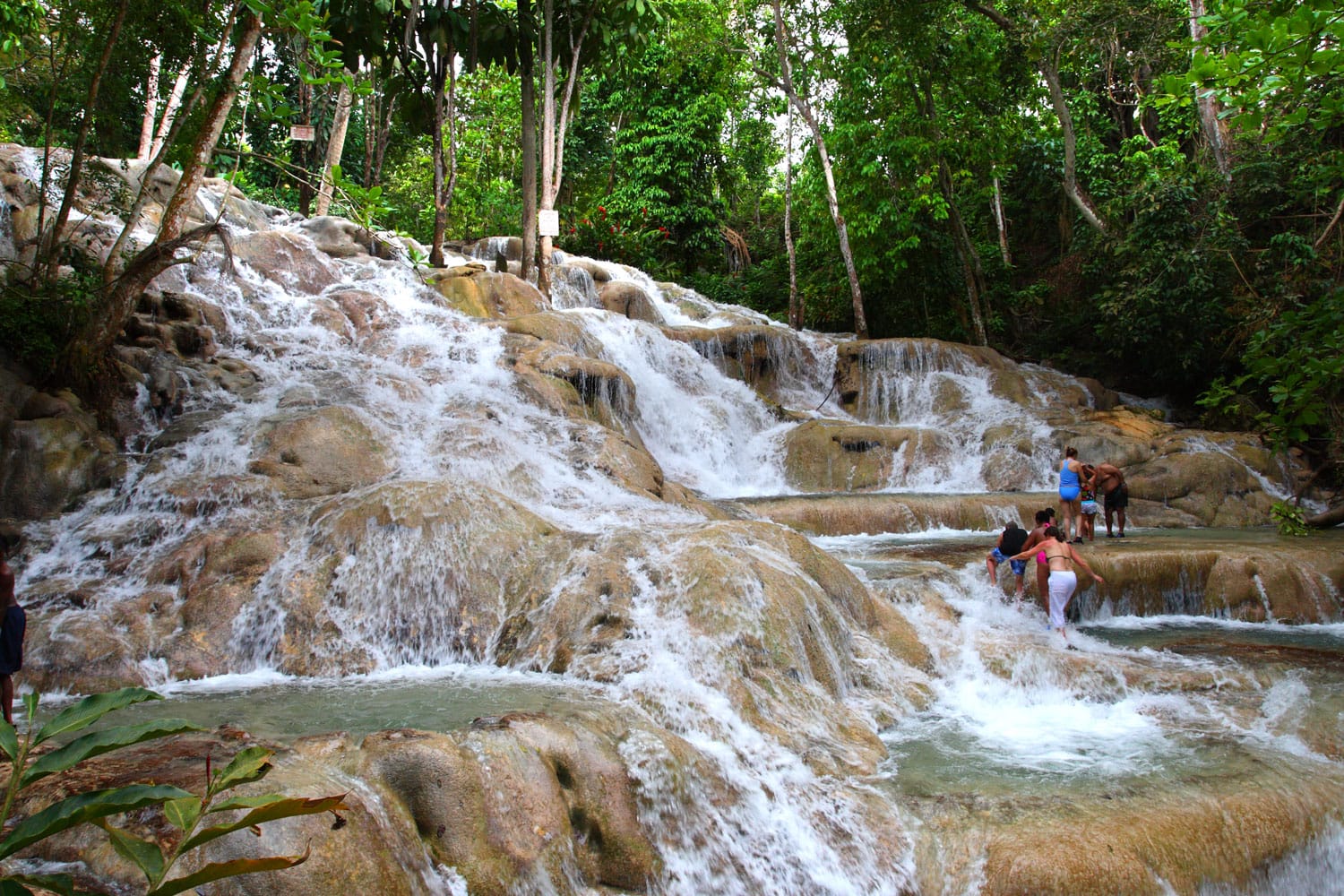 Dunn’s River Falls and Park