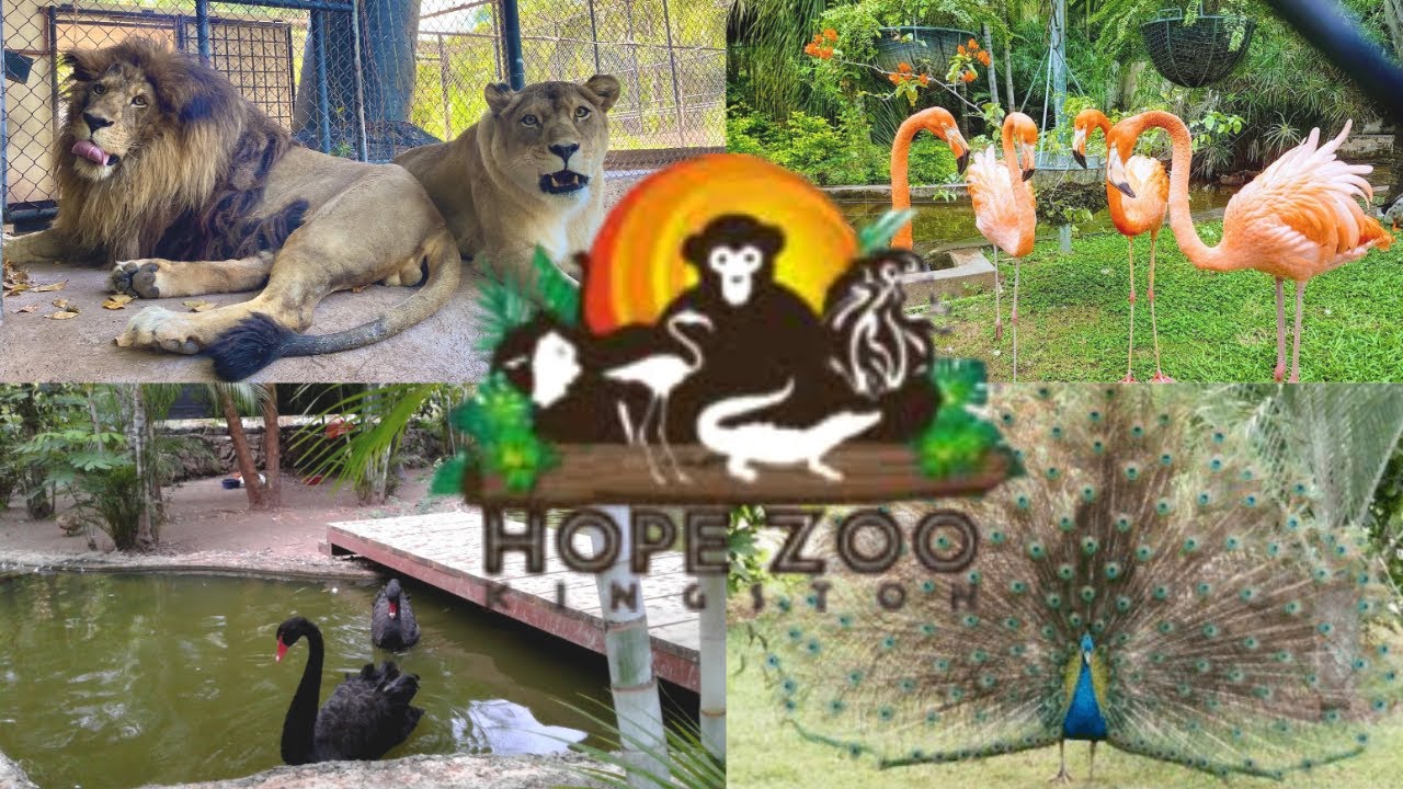 Hope Zoo & Garden