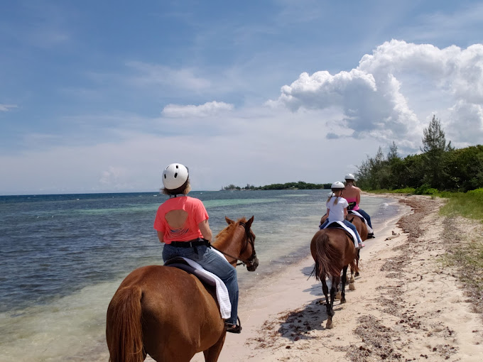 Braco Stables Estate