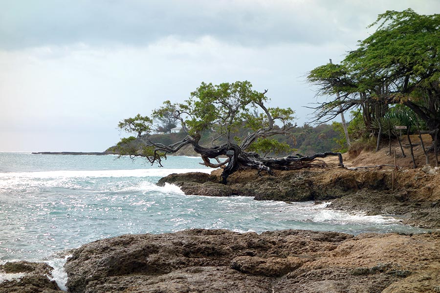 Treasure Beach