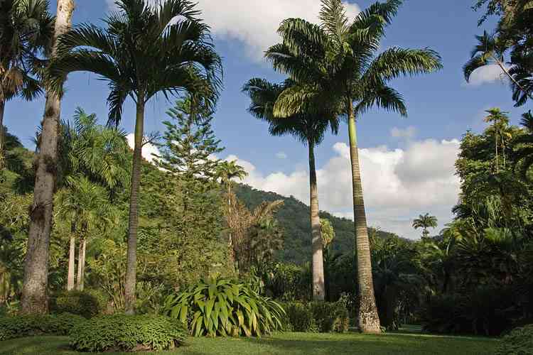 Castleton Botanical Gardens