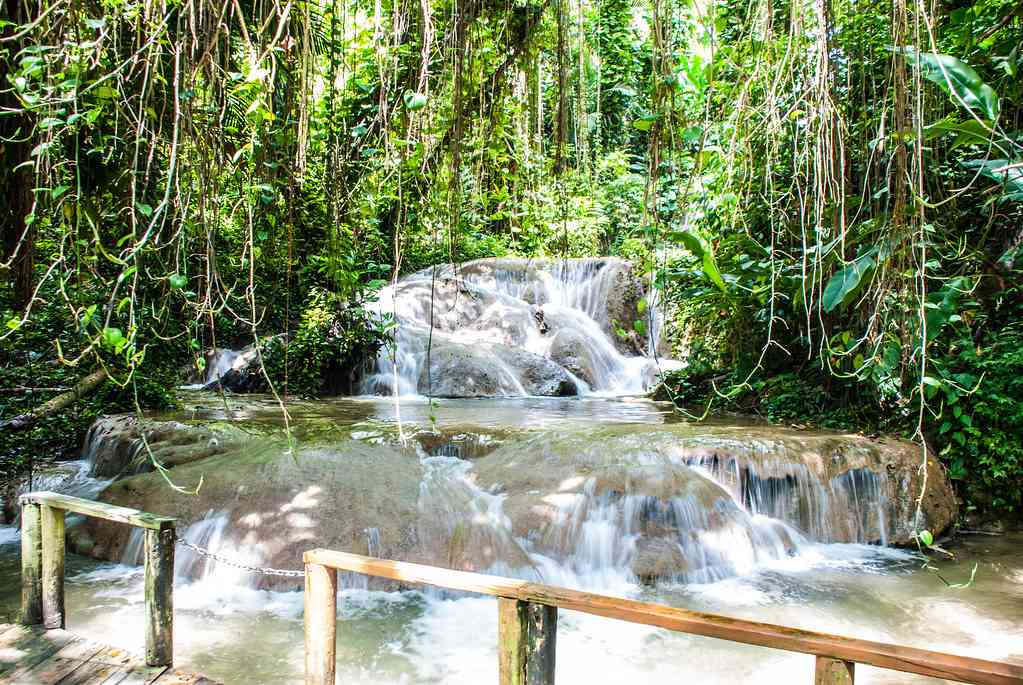 Turtle River Falls and Gardens