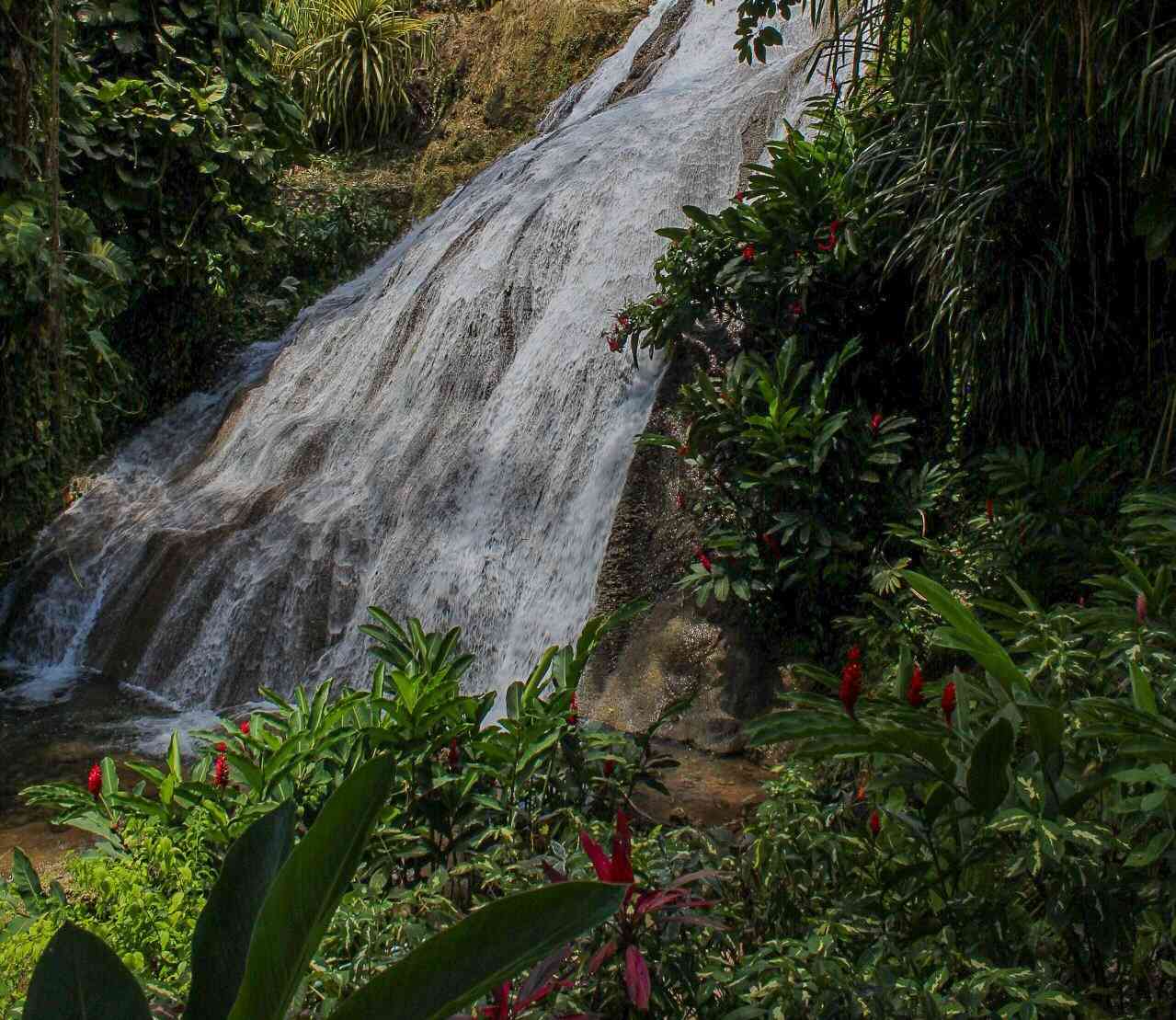 Shaw Park Gardens and Waterfalls