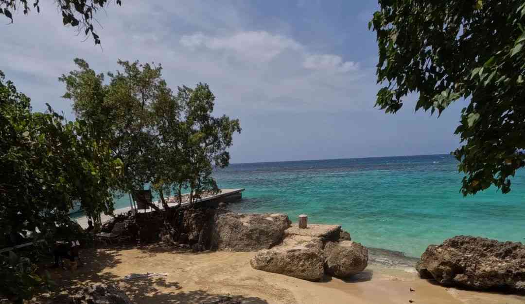 Coconut Grove Beach