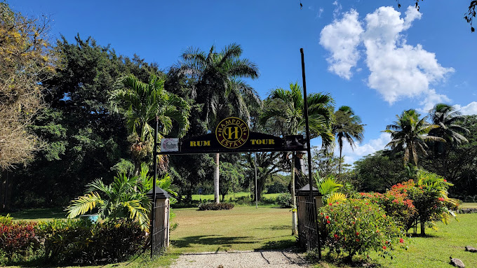 Hampden Sugar Estate Rum Tour